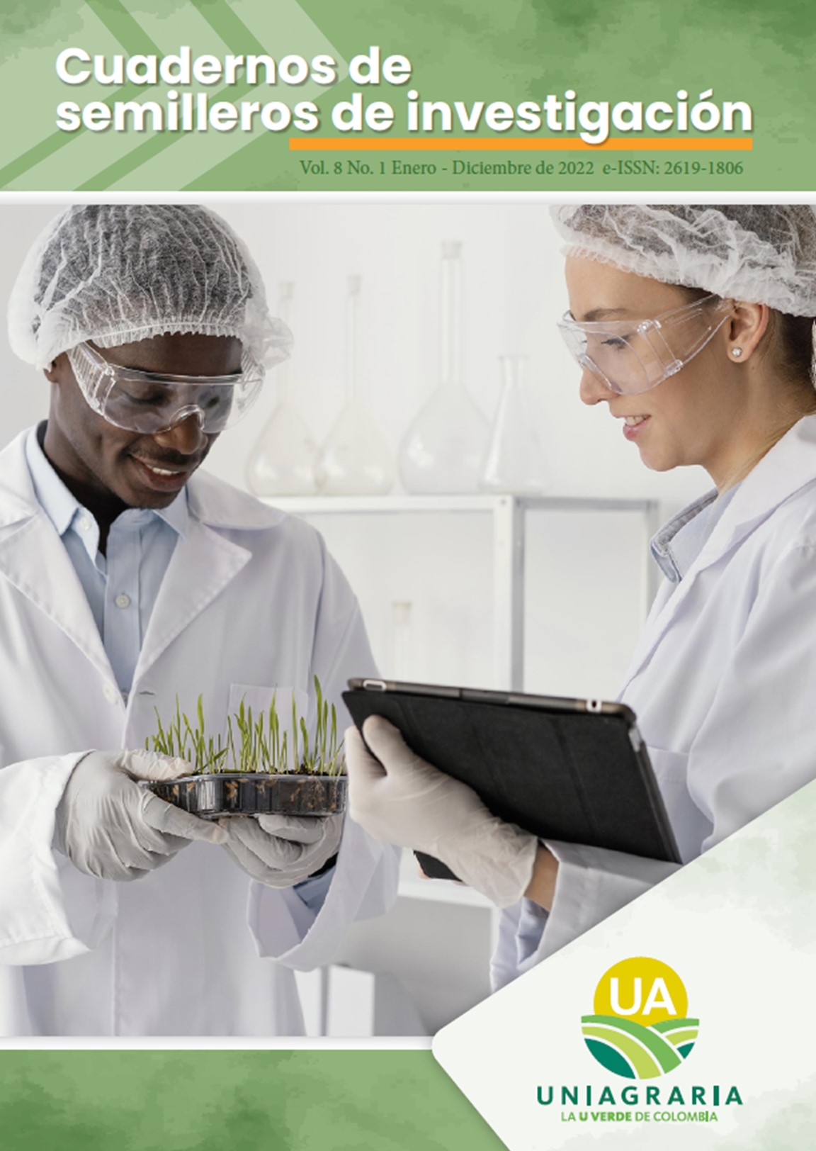 CUADERNOS DE SEMILLEROS INVESTIGACIÓN Vol. 8 Enero – Diciembre de 2022
