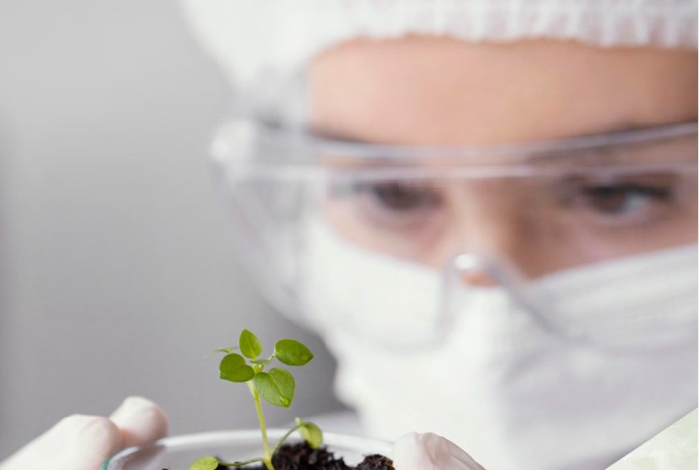 CUADERNOS DE SEMILLEROS INVESTIGACIÓN Vol. 9 Enero – Diciembre de 2023