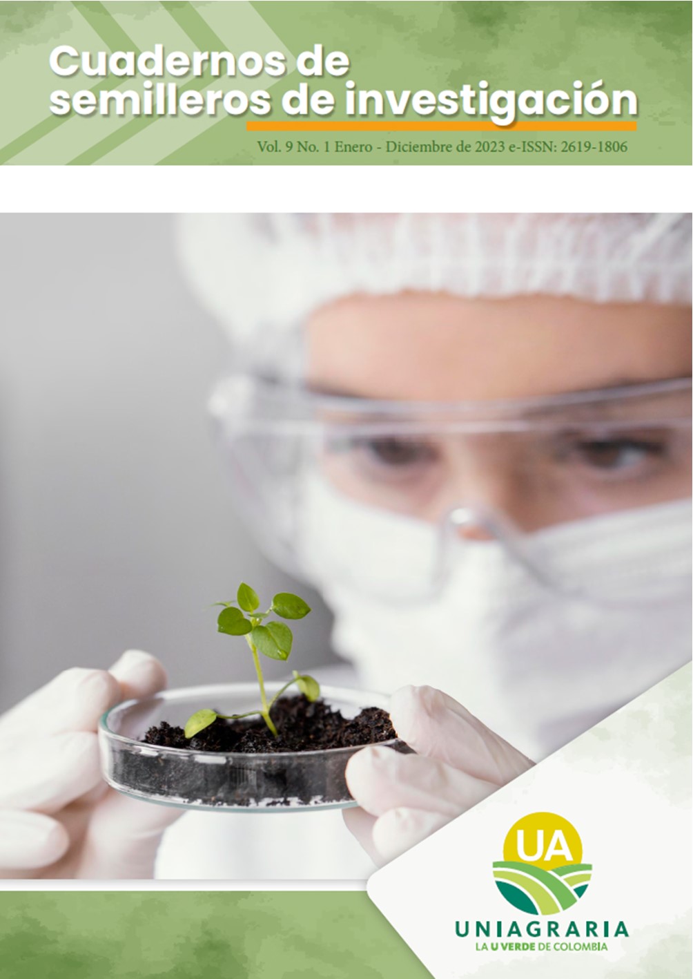 CUADERNOS DE SEMILLEROS INVESTIGACIÓN Vol. 9 Enero – Diciembre de 2023